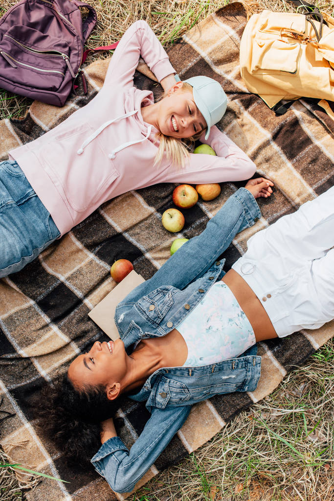 ylhäältä näkymä kaksi hymyilevää monikansallista tyttöä makaa ruudullinen huopa omenat
 - Valokuva, kuva