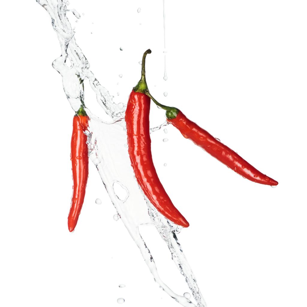 würzige rote Chilischoten mit klarem Wasserspritzer und Tropfen isoliert auf weißem - Foto, Bild