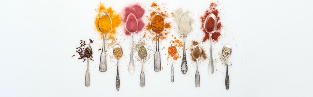 panoramic shot of various colorful spices in silver spoons on white background  - Photo, Image