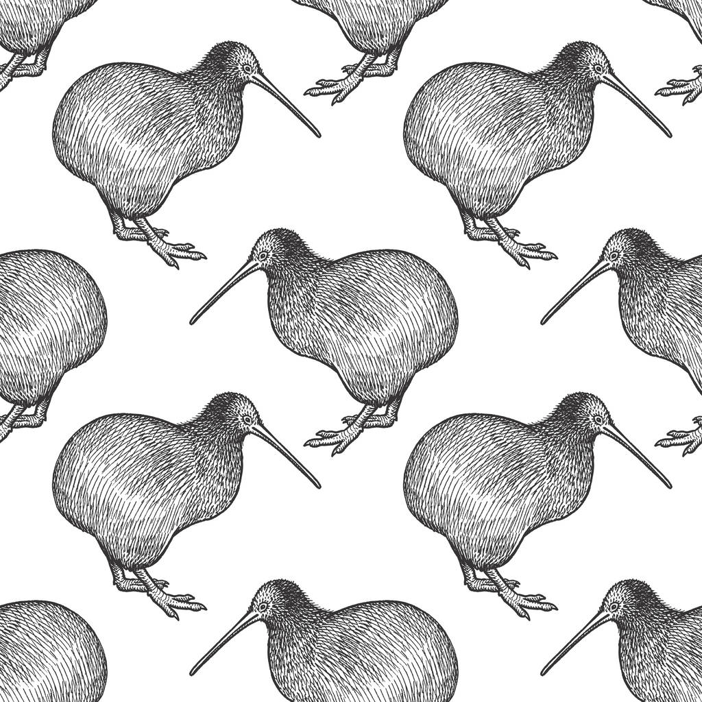 Bezešvé vzory s Kiwi ptáky - Vektor, obrázek
