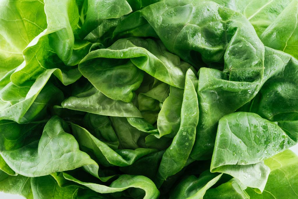 крупним планом вид сирого натурального вологого зеленого листя салату з краплями води
 - Фото, зображення