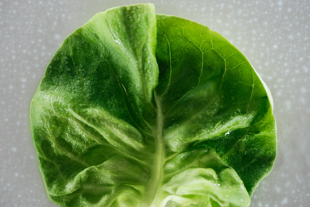 close up view of fresh natural wet green lettuce leaf with water drops - Photo, Image