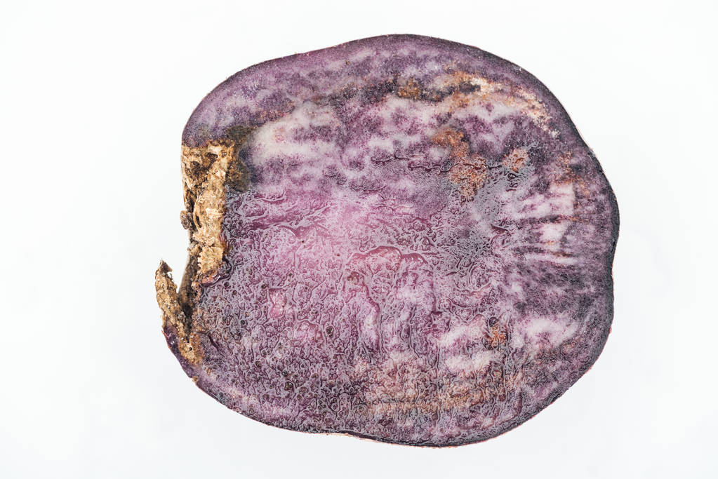 zblízka pohled na purpurový rozřední řez izolovaný na bílém - Fotografie, Obrázek