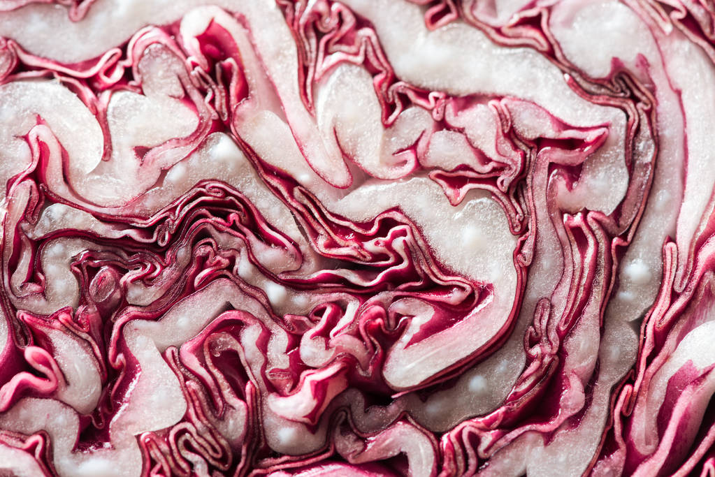 close up view of nutritious cut textured red cabbage - Photo, Image