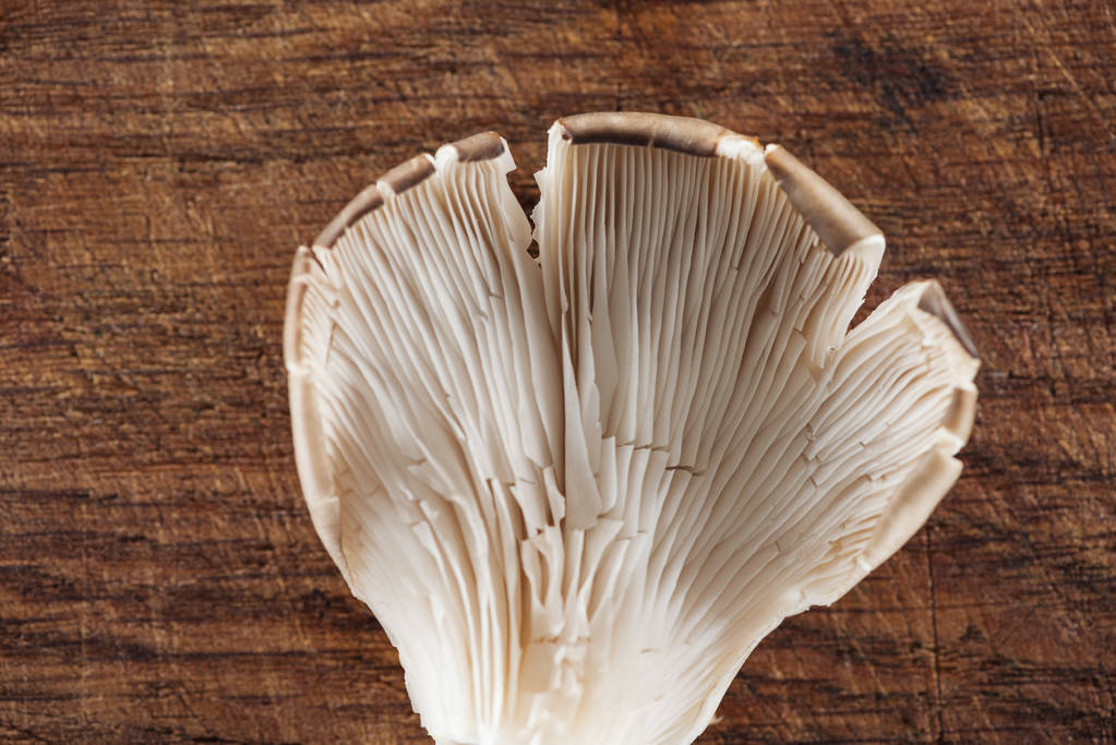 close up view of raw white mushroom on textured wooden background - Photo, Image