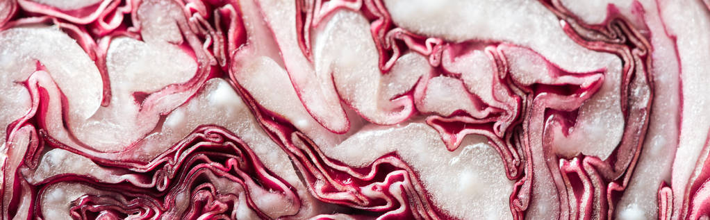 панорамний знімок свіжої порізаної текстури червоної капусти
  - Фото, зображення