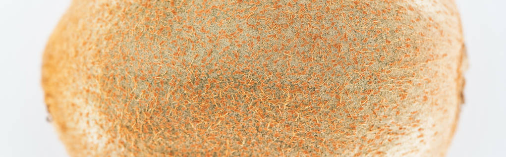 közeli kilátás az egész Kiwi a texturált barna héj, panoráma lövés - Fotó, kép