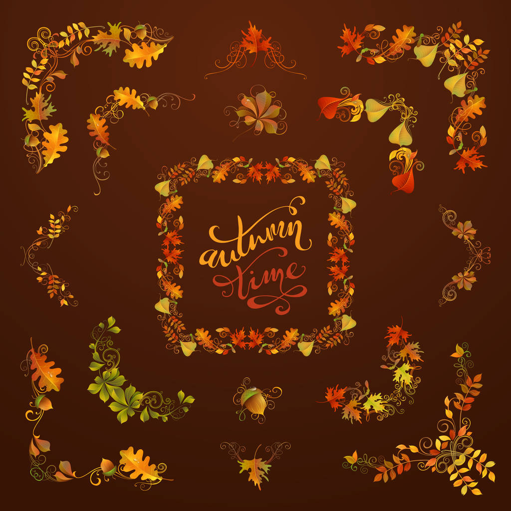 Conjunto vectorial de elementos de diseño de hojas de otoño
. - Vector, imagen