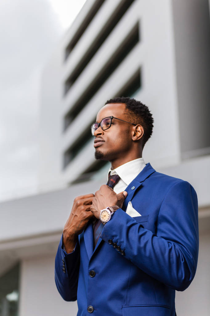 Retrato de pé ao ar livre de um negócio negro afro-americano m
 - Foto, Imagem