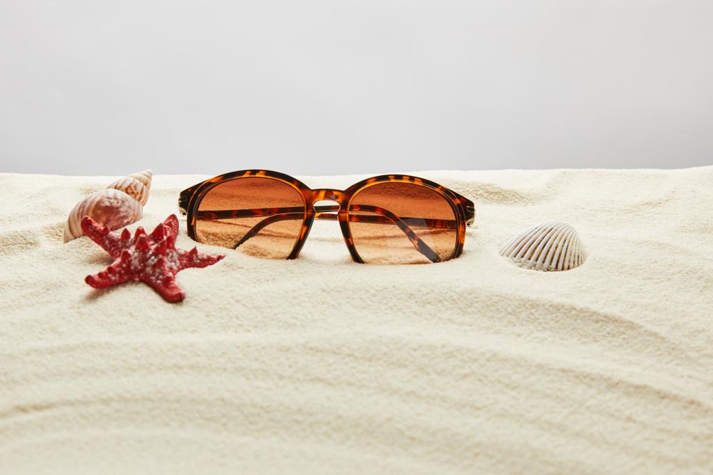 brązowe stylowe okulary przeciwsłoneczne na piasku z czerwoną rozgwiazdy i muszle na szarym tle - Zdjęcie, obraz