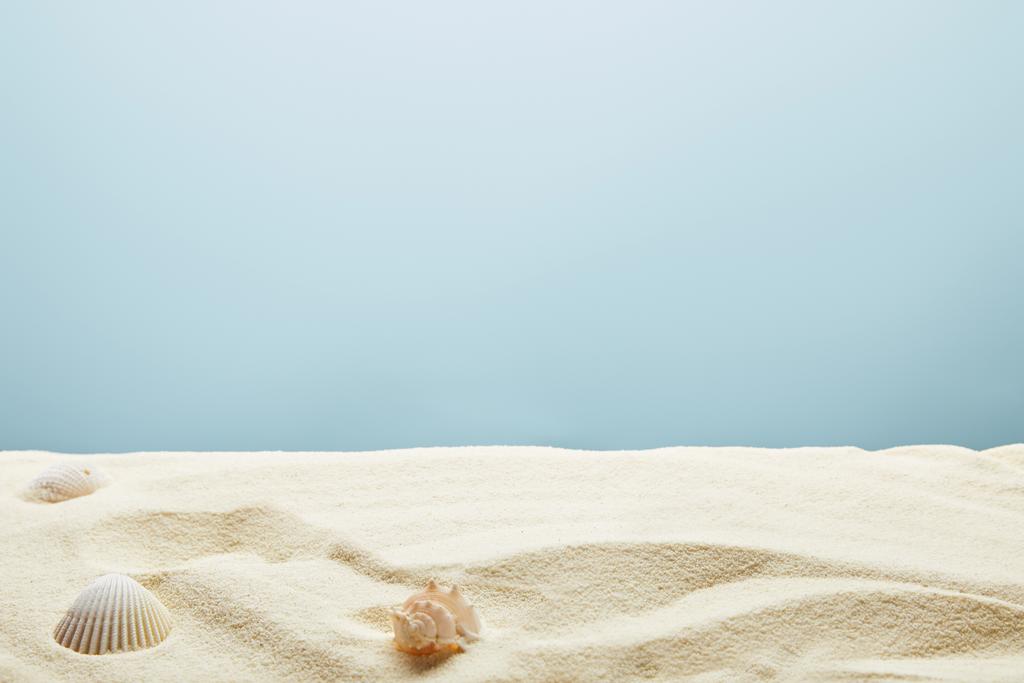 conchas marinas dispersas sobre arena texturizada sobre fondo azul
 - Foto, imagen