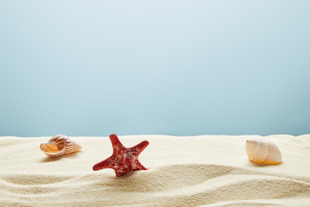 hullámos textúrájú arany homok, vörös tengeri csillag és tengeri kagylókból, kék háttérrel - Fotó, kép