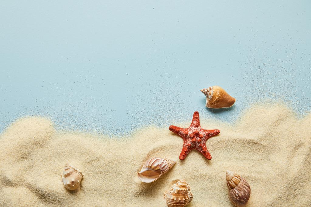 top view of textured wavy sand with seashells and starfish on blue background with copy space - Photo, Image