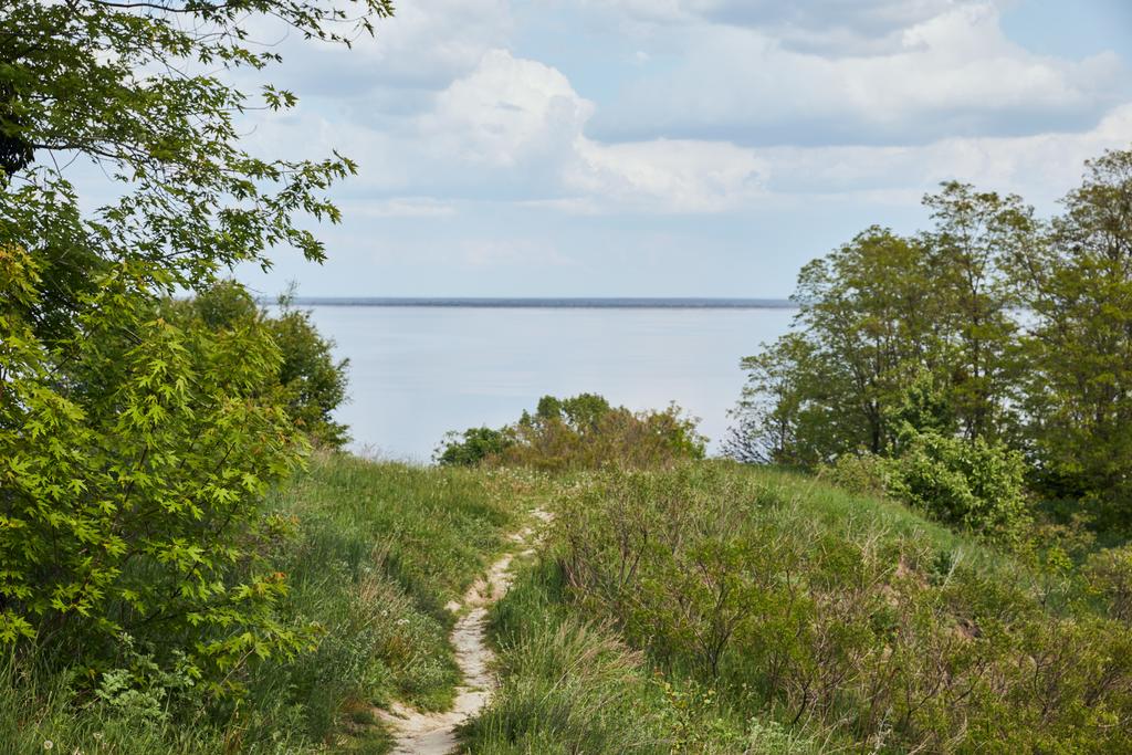 Спокійний літній пейзаж з зеленими деревами, річкою і блакитним небом
 - Фото, зображення