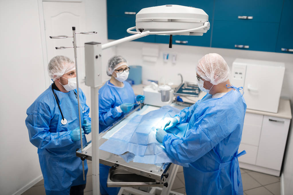 Veteriner cerrahlar metal masa ve ameliyat köpek yanında duran - Fotoğraf, Görsel