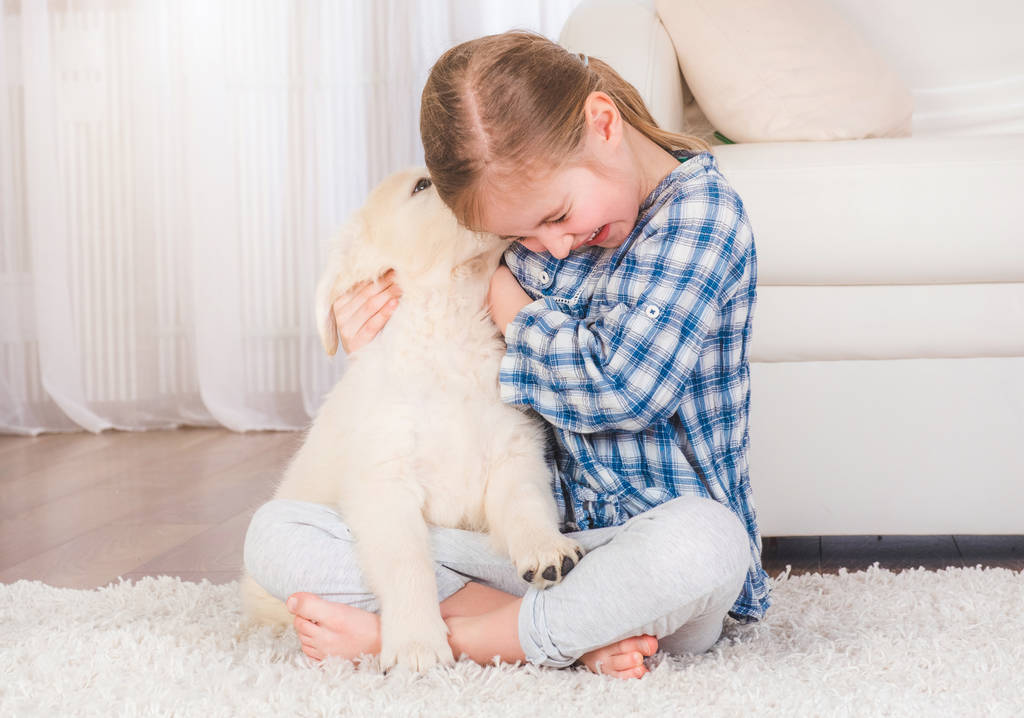 Ragazza sorridente abbracciando cucciolo retriever
 - Foto, immagini