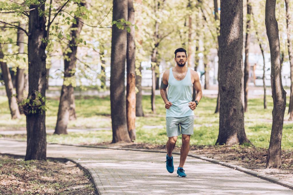красивый спортсмен бегает по дорожке в зеленом солнечном парке
 - Фото, изображение