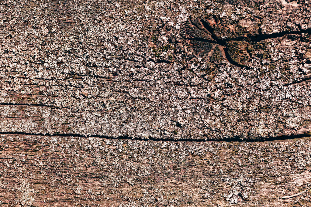 Textura de madera vieja primer plano - Foto, imagen