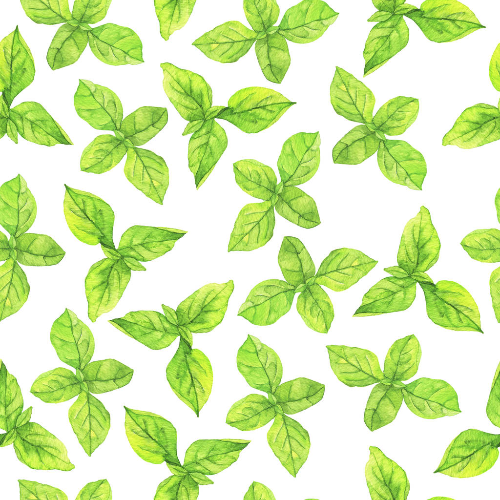 Patrón sin costuras con hojas de albahaca fresca sobre fondo blanco. Acuarela dibujada a mano ilustración
 - Foto, Imagen