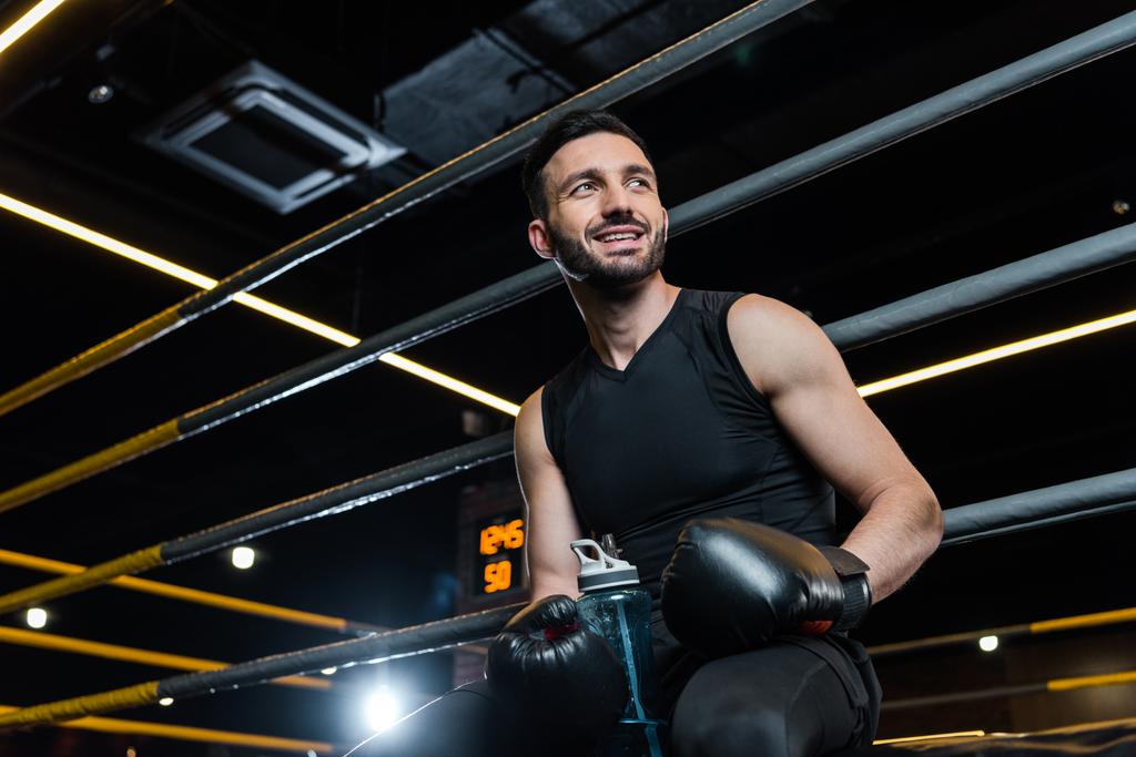 vista de ángulo bajo del hombre guapo en guantes de boxeo sonriendo en el gimnasio
  - Foto, Imagen