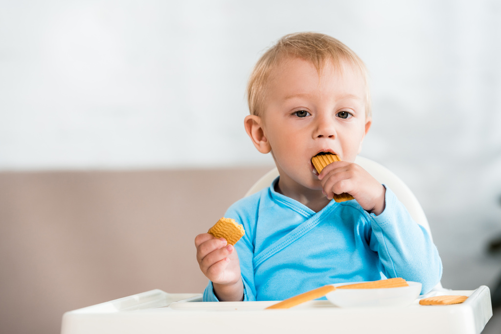 cute maluch dziecko siedzi w karmienia krzesło i jeść słodkie ciasteczka w domu  - Zdjęcie, obraz