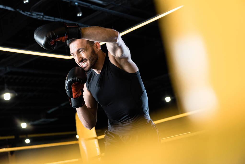 lage hoek uitzicht van bebaarde en sterke man boksen in de sportschool  - Foto, afbeelding