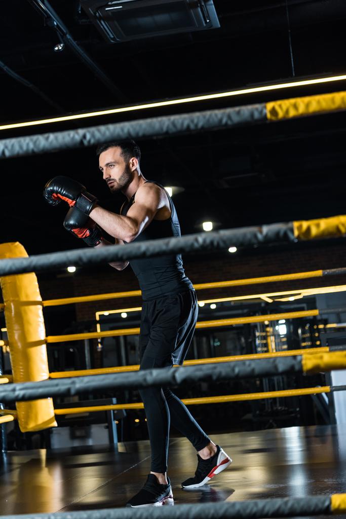 enfoque selectivo del hombre guapo haciendo ejercicio en guantes de boxeo mientras está de pie en el ring de boxeo
  - Foto, imagen