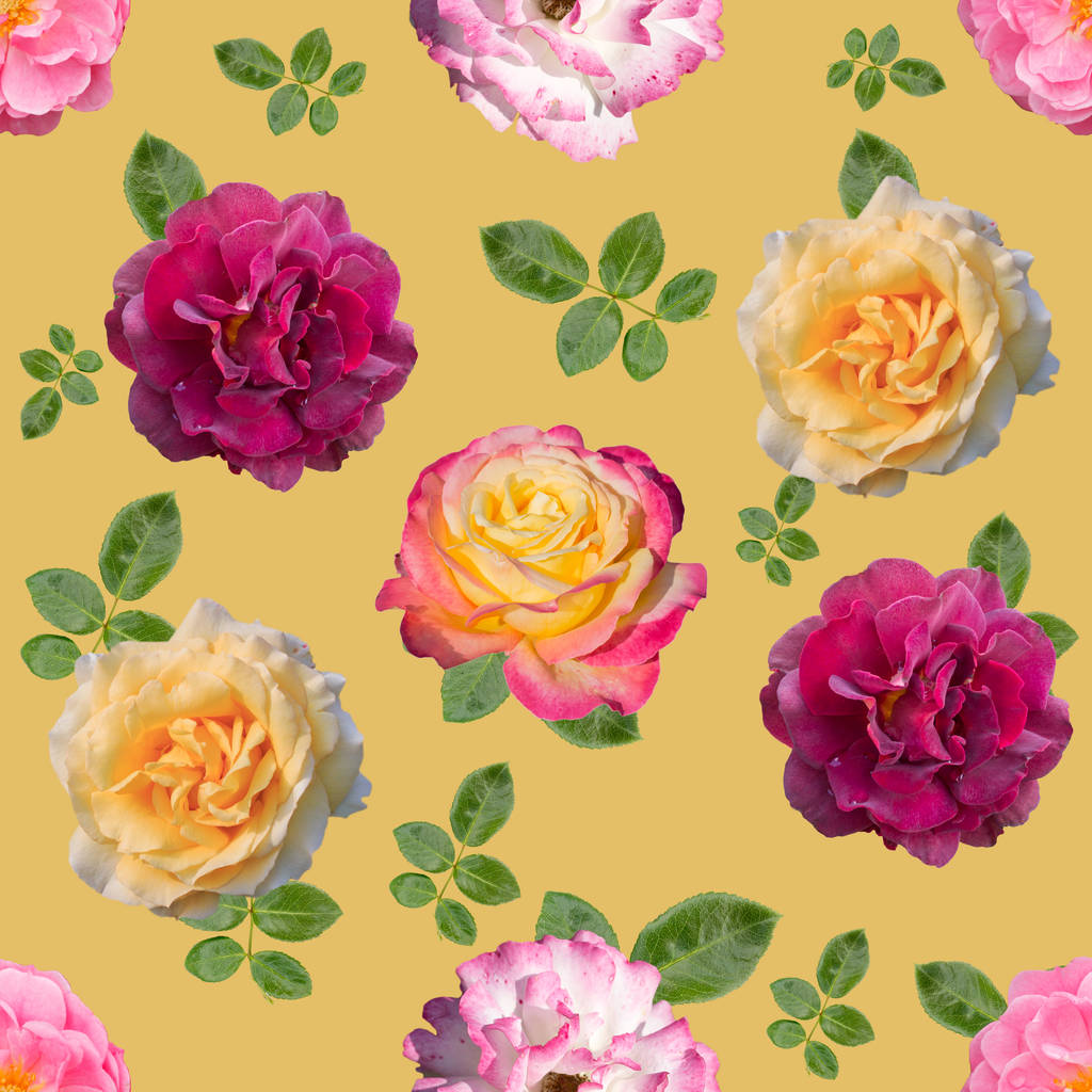 Безшовний візерунок з різними квітами троянд на фоні
. - Фото, зображення