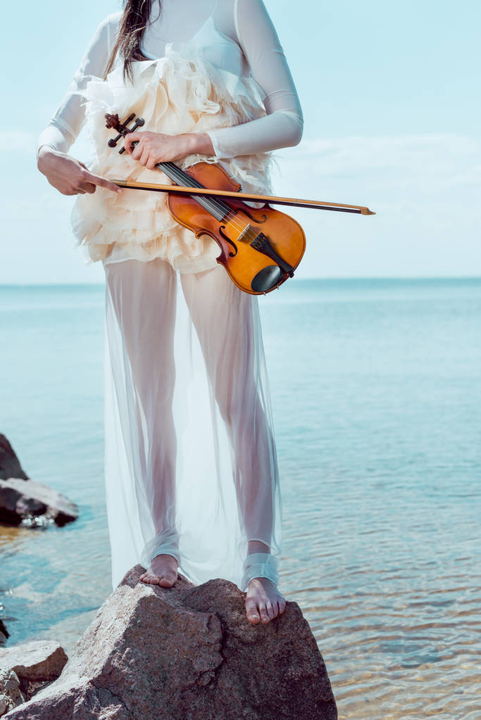 bijgesneden beeld van volwassen vrouw in witte zwaan kostuum staande op Blue River achtergrond met viool  - Foto, afbeelding