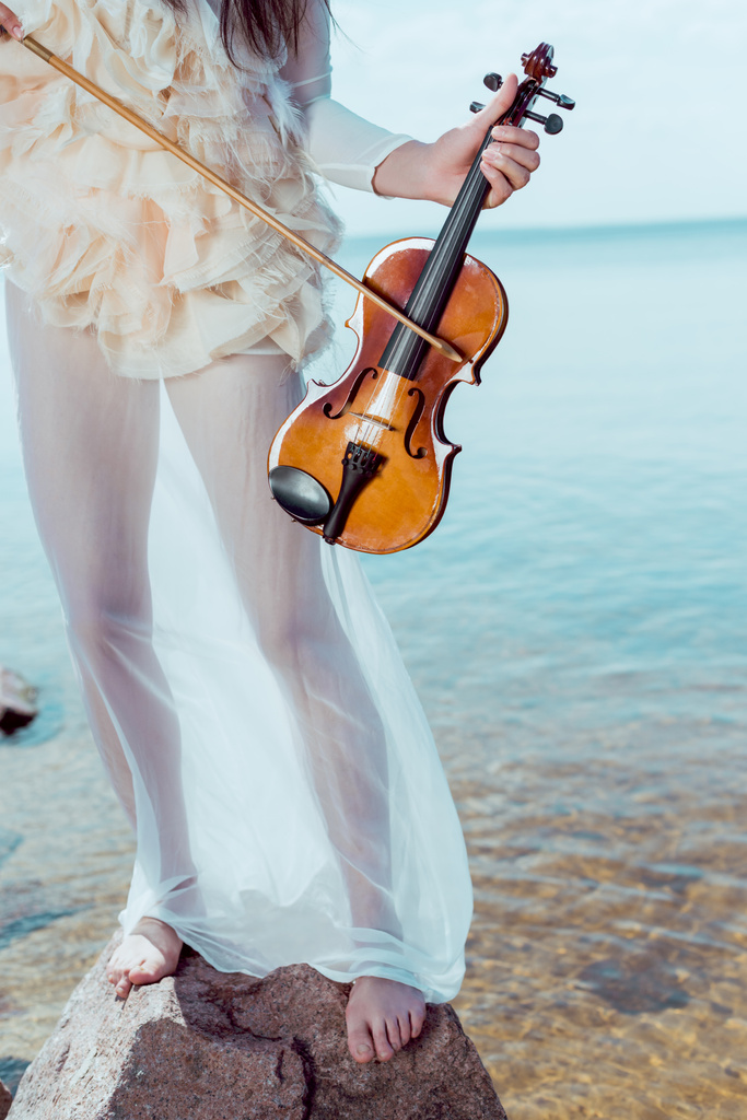 oříznutý pohled na krásnou ženu v kostýmech White Labutí stojící na pozadí řeky s houslemi  - Fotografie, Obrázek