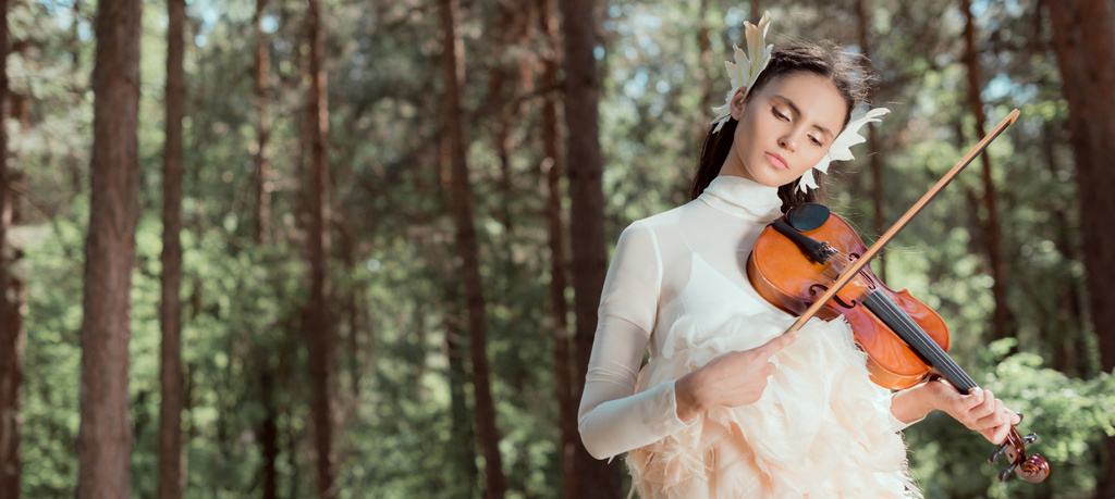 панорамний вид на красиву жінку в білому лебединому костюмі, що стоїть на лісовому фоні, граючи на скрипці
 - Фото, зображення