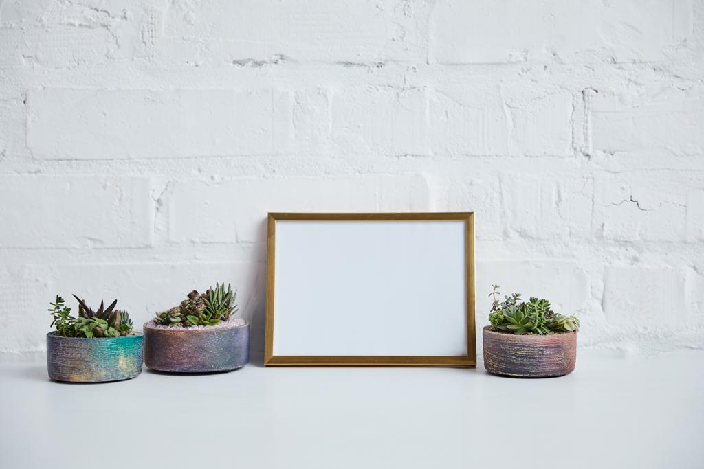 green succulents in flowerpots near blank in frame on brick wall background - Photo, Image
