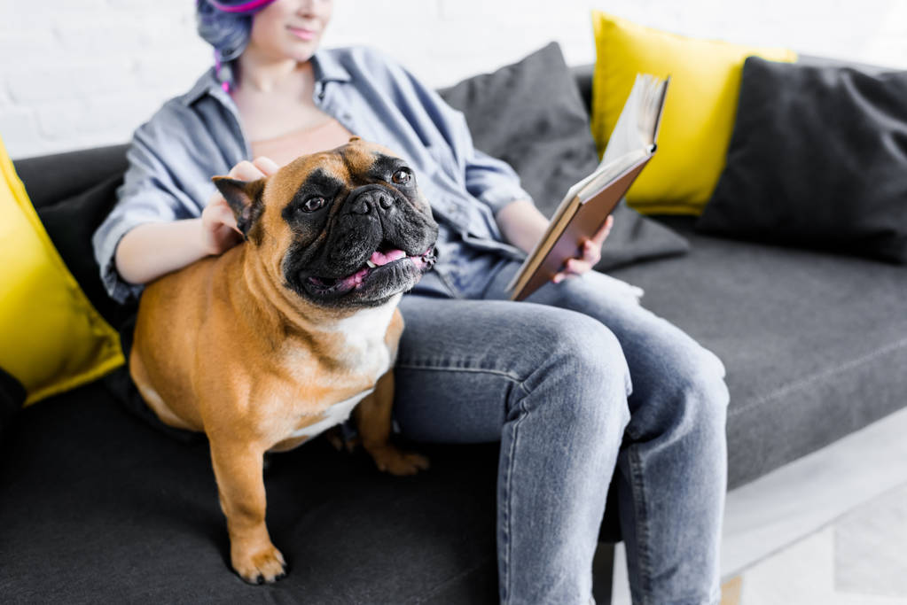 selectieve focus van cute Bulldog zittend op de Bank met meisje lezen boek - Foto, afbeelding