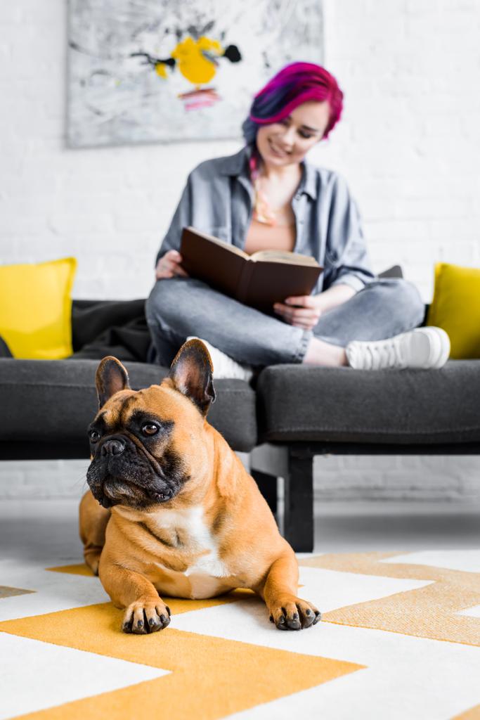 szelektíven összpontosít Francia Bulldog fektetése a padlón és a lány ül a kanapén, és olvasás könyv - Fotó, kép