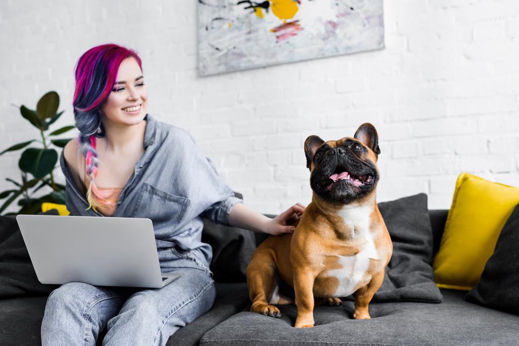 renkli saçlı çekici kız kanepede oturan, dizüstü bilgisayar ve petting Fransız bulldog kullanarak - Fotoğraf, Görsel