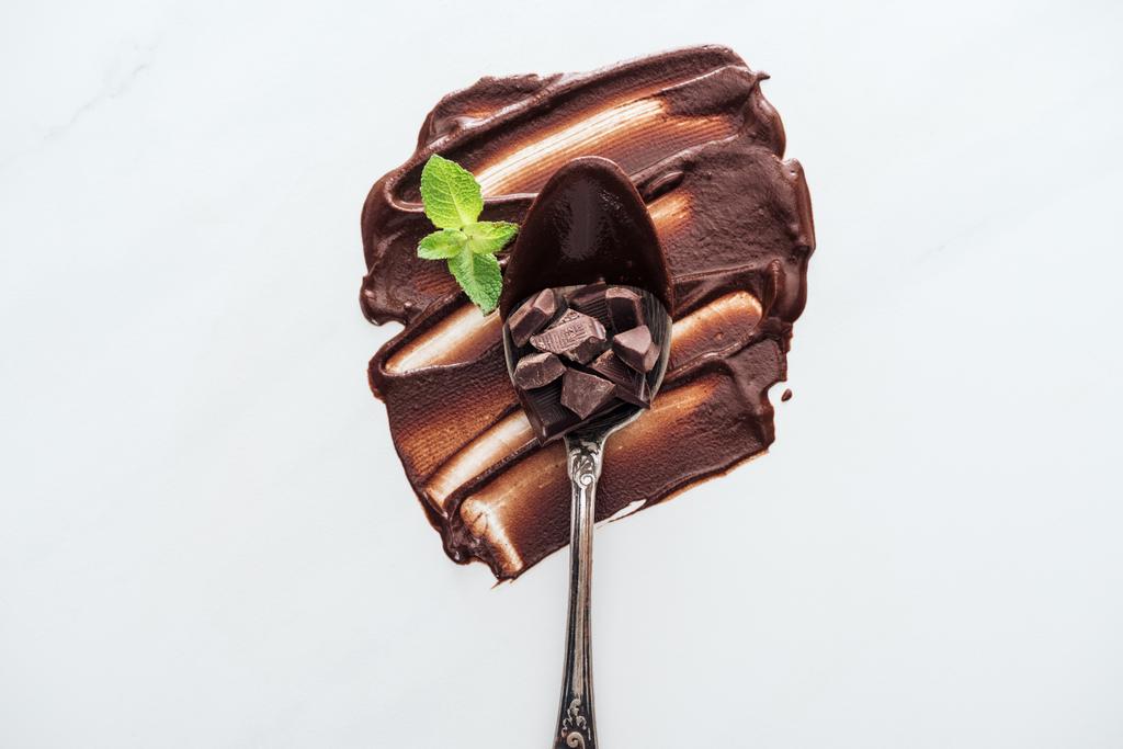 Κορυφαία όψη του κουταλιού εκλεκτής ποιότητας με κομμάτια σοκολάτας και φρέσκια μέντα  - Φωτογραφία, εικόνα