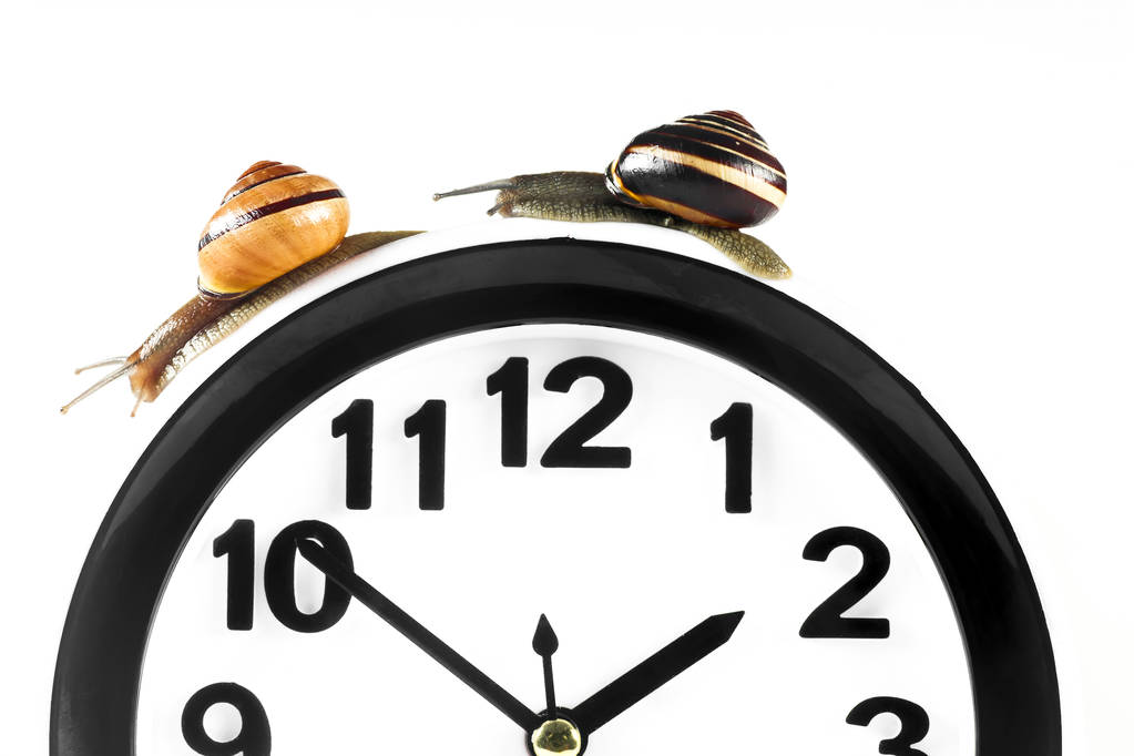 Koncepcja upływu czasu-ślimak i zegar izolowane na białym - Zdjęcie, obraz