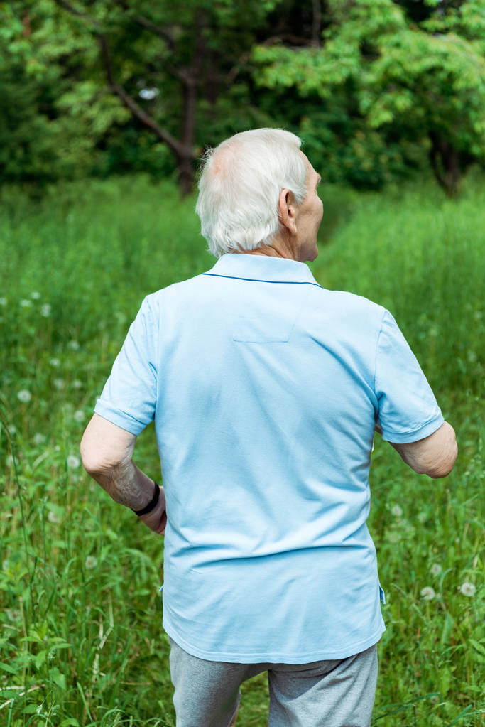 пенсіонер з сірим волоссям, що стоїть в зеленому парку
  - Фото, зображення