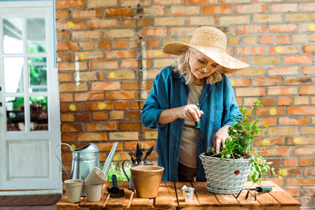mulher sênior alegre em chapéu de palha segurando pá perto da planta
   - Foto, Imagem