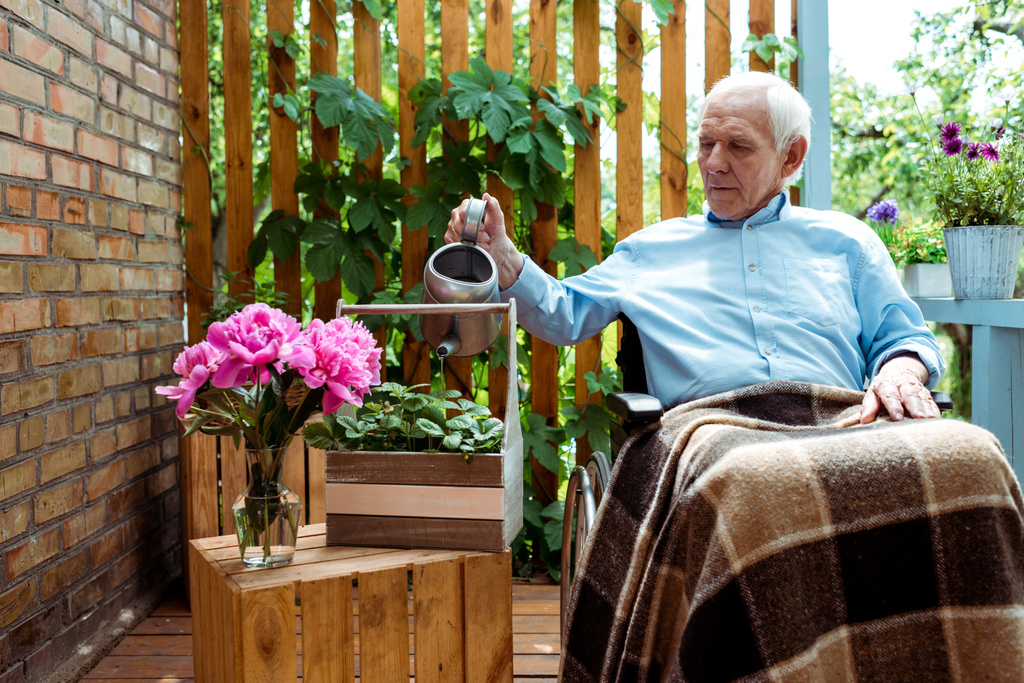 senior disabled man with grey hair sitting in wheelchair and watering plant  - Photo, Image