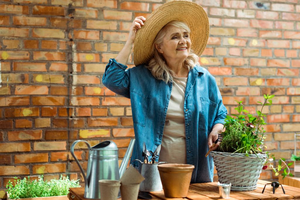 vrolijke Senior vrouw aanraken stro hoed en holding rake in de buurt van plant   - Foto, afbeelding
