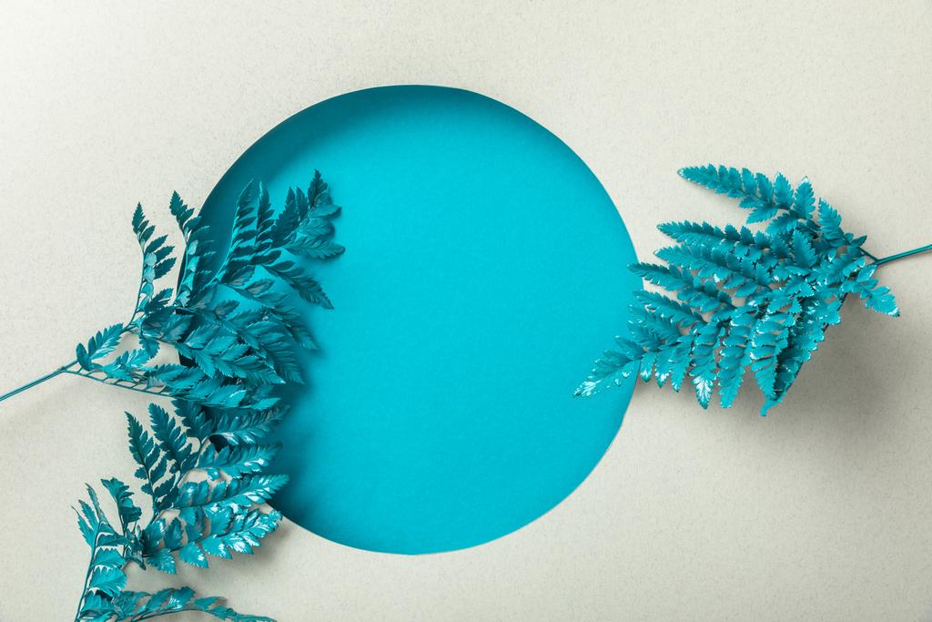 niebieski ozdobny paproci liści w pobliżu okrągły otwór na białym papierze  - Zdjęcie, obraz