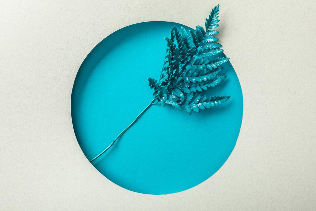 beyaz kağıt üzerinde yuvarlak delik mavi eğrelti otu yaprağı   - Fotoğraf, Görsel