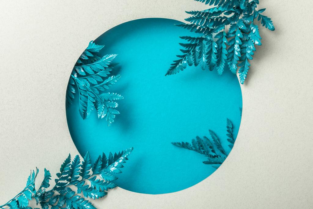blue decorative fern leaves in round hole on white paper  - Photo, Image