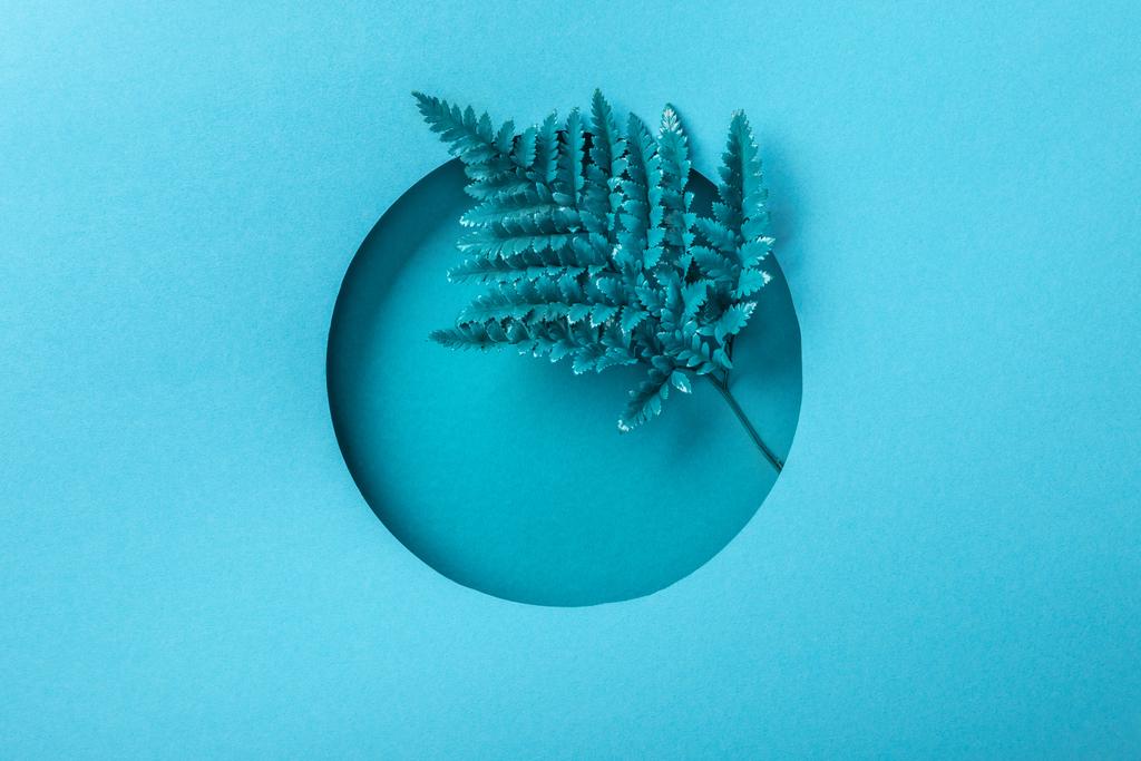 niebieski liść paproci w okrągłym otworze na niebieskim papierze  - Zdjęcie, obraz