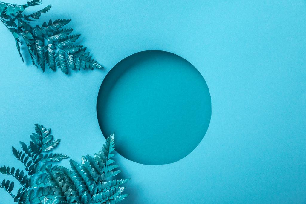 blaue dekorative Farnblätter in der Nähe eines runden Lochs auf blauem Papier  - Foto, Bild