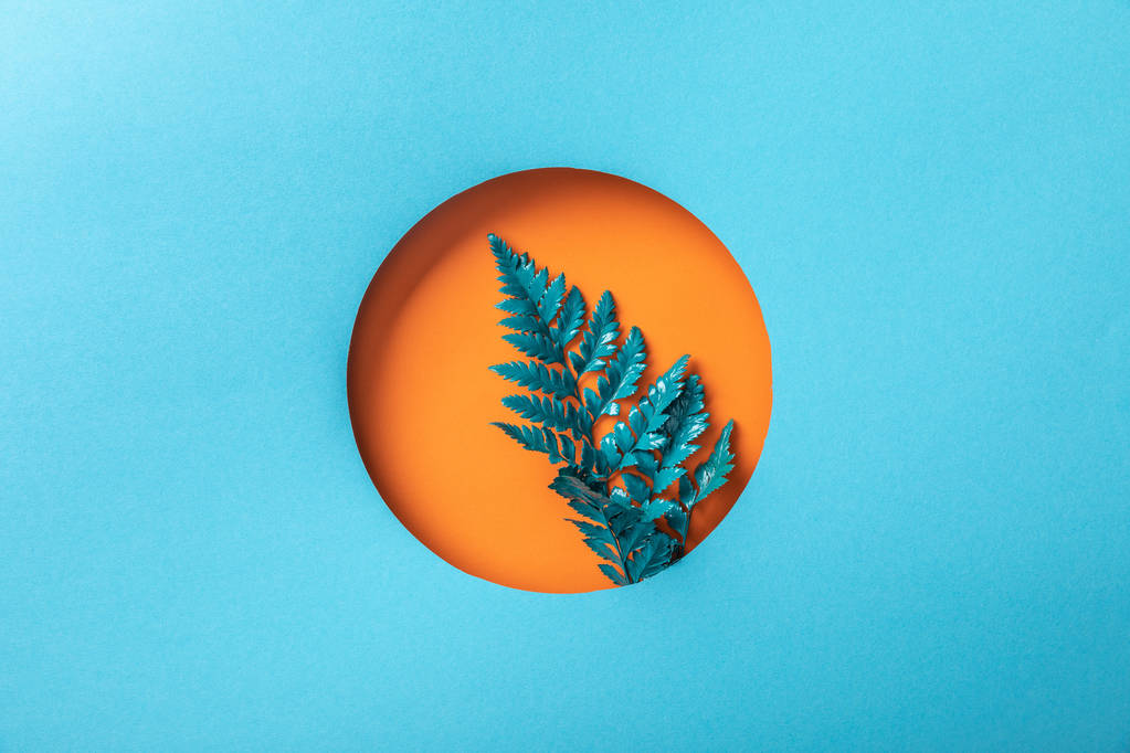 διακοσμητικό φύλλο φτέρης σε πορτοκαλί στρογγυλή τρύπα στο μπλε χαρτί  - Φωτογραφία, εικόνα