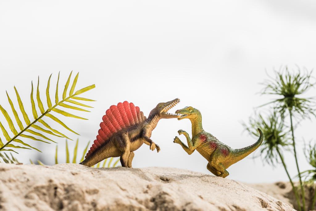 selektywne skupienie zabawek dinozaurów Roaring na wydmach z egzotycznych liści - Zdjęcie, obraz