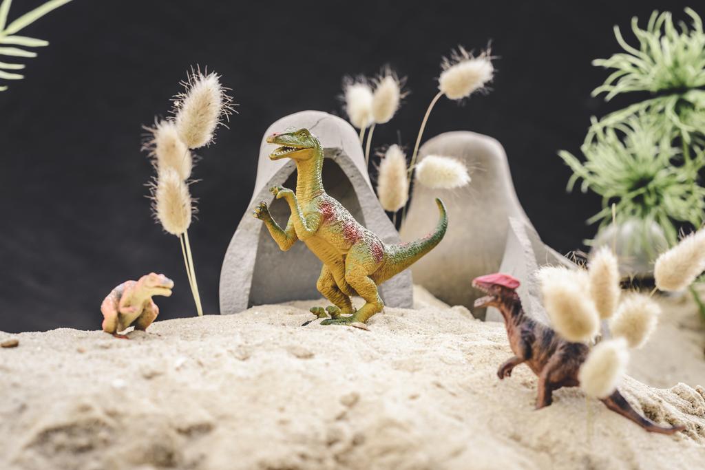 selectieve focus van speelgoed dinosaurussen staande in de buurt van grotten en planten op zandduin  - Foto, afbeelding