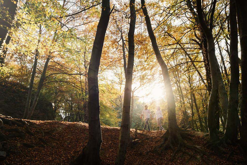 Romanttinen nuori pari kävelee syksyllä puistossa. Perhe yhdessä puistossa. Raskaana oleva pari
. - Valokuva, kuva